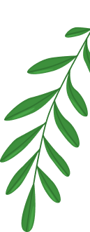 Westerstraat kapsalon