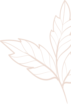 Westerstraat kapsalon